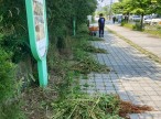 생태놀이터 산책로 정비
